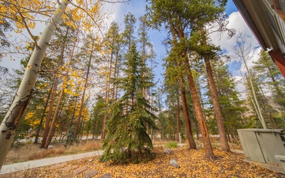 Flying Dutchman 1110 10