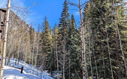 Trappers Crossing 8769 5