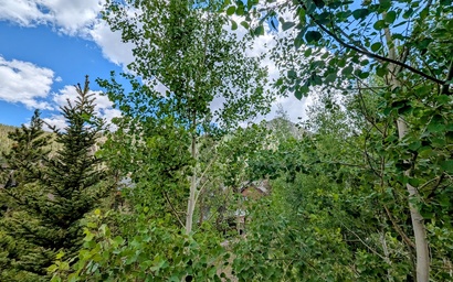 Settlers Creek 6521 17