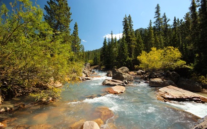 Settlers Creek 6512 46