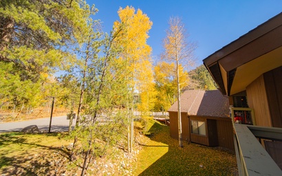 Wild Irishman 1043 20