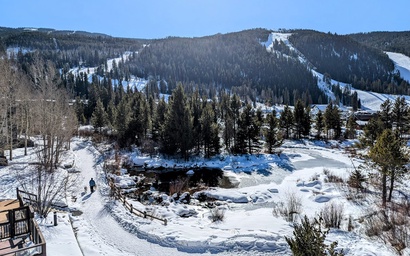 Cinnamon Ridge D323 4