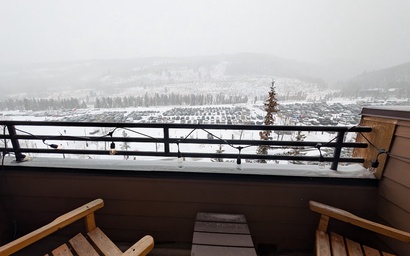 Buffalo Lodge 8411 17