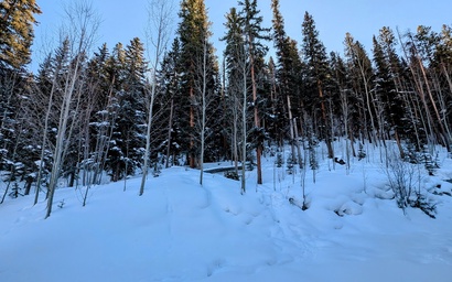 Settlers Creek 6540 10