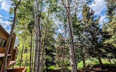 Tennis Townhomes 1323 3