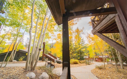 Cabin in the Pines 4 32