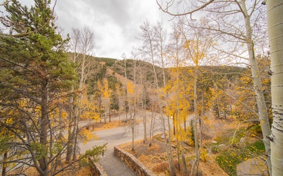 Chateaux DuMont 2725 15