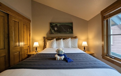 Ski Tip Ranch 8747 37