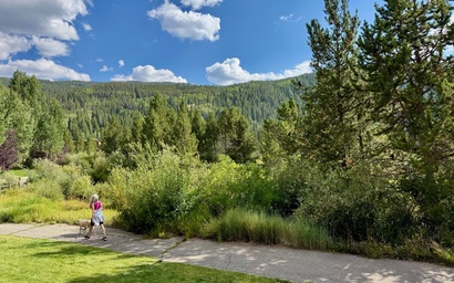 Cinnamon Ridge D323 32