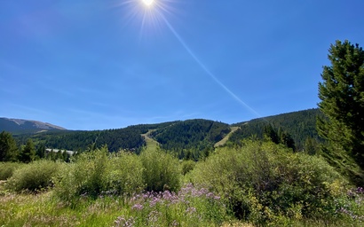 Tenderfoot Lodge 2611 28
