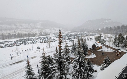 Buffalo Lodge 8411 18