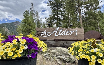 Alders 46 Outpost Dr 37