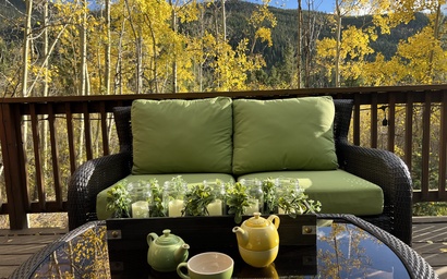 Ski Tip Ranch 8747 3