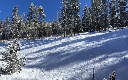 Alders 46 Outpost Dr 17