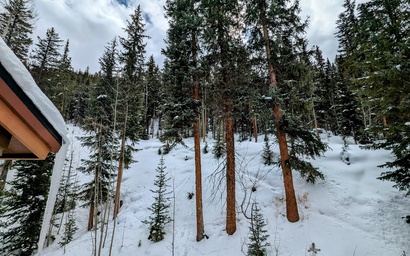 Settlers Creek 6535 40