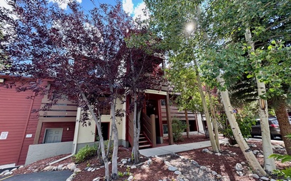 Cinnamon Ridge D323 36