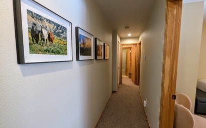 Cinnamon Ridge D323 16