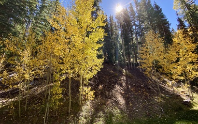 Settlers Creek 6528 37