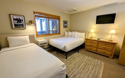 Cinnamon Ridge D323 22