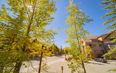 Dakota Lodge 8458 14