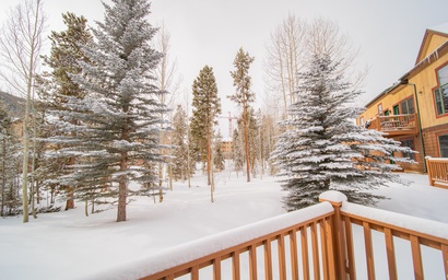 Red Hawk Townhomes 2333 3