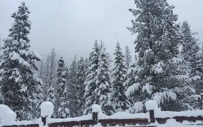 Settlers Creek 6512 50