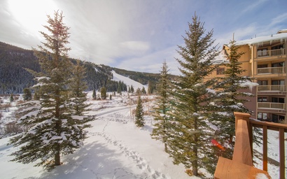 Red Hawk Townhomes 2342 13