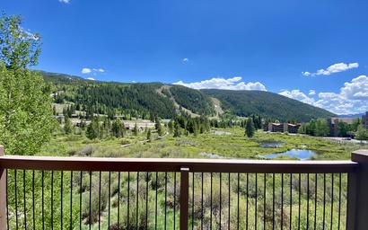 Cinnamon Ridge B304 16