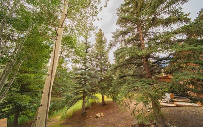 Tennis Townhomes 1323 38