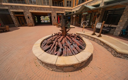 Buffalo Lodge 8419 30