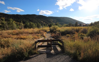 Cinnamon Ridge D323 35