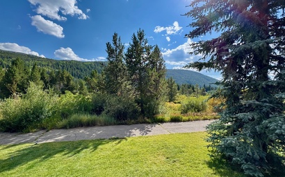 Cinnamon Ridge D323 37