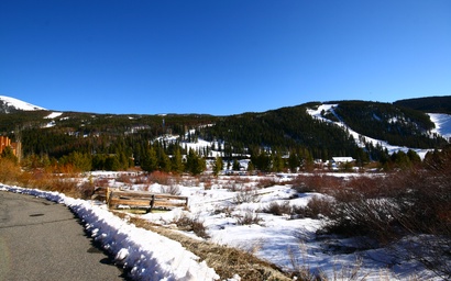 Cinnamon Ridge D323 34