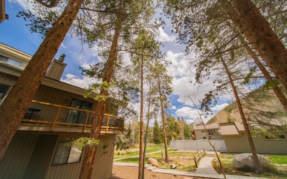 Flying Dutchman 1115 20