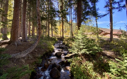 Settlers Creek 6565 49