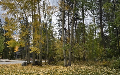 Flying Dutchman 1164 42