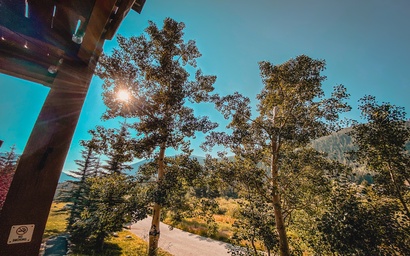 Tenderfoot Lodge 2604 20