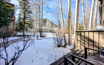 Flying Dutchman 1201 2