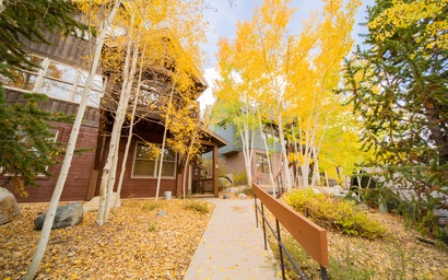 Cabin in the Pines 4 2