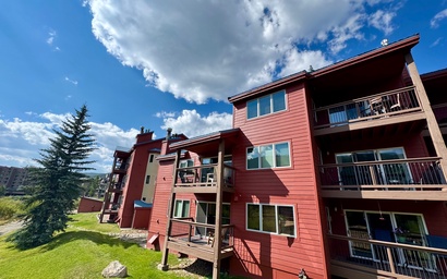 Cinnamon Ridge D323 33