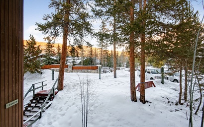 Wild Irishman 1043 22