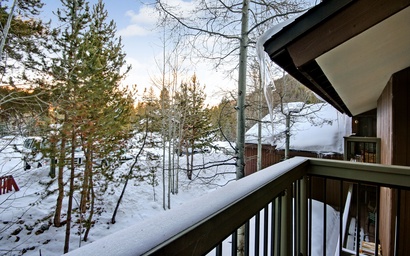 Wild Irishman 1043 3