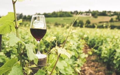 La Luna Lakeshore 50