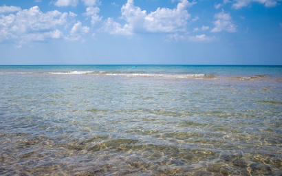 Grand Royal Cottage 50