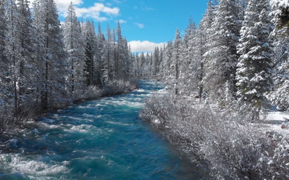 Shabby to Chic Downtown Getaway 2