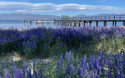 Alpine Loft at The Villas 2