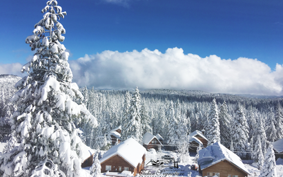 Shabby to Chic Downtown Getaway 5