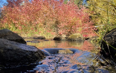 Oslo Manor in Tahoe Donner 6