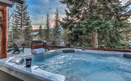 Mountain Bear Lodge 2