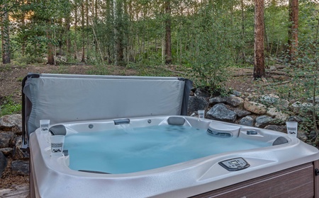 Majestic Mountain Lodge 3